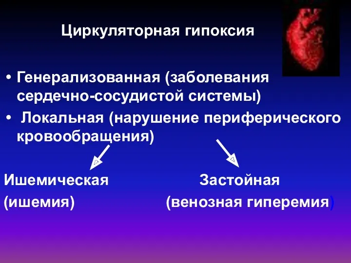 Циркуляторная гипоксия Генерализованная (заболевания сердечно-сосудистой системы) Локальная (нарушение периферического кровообращения) Ишемическая Застойная (ишемия) (венозная гиперемия)