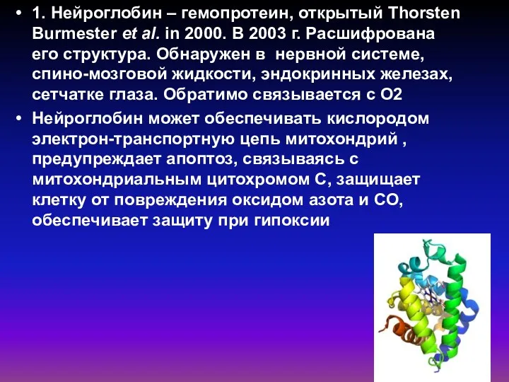 1. Нейроглобин – гемопротеин, открытый Thorsten Burmester et al. in