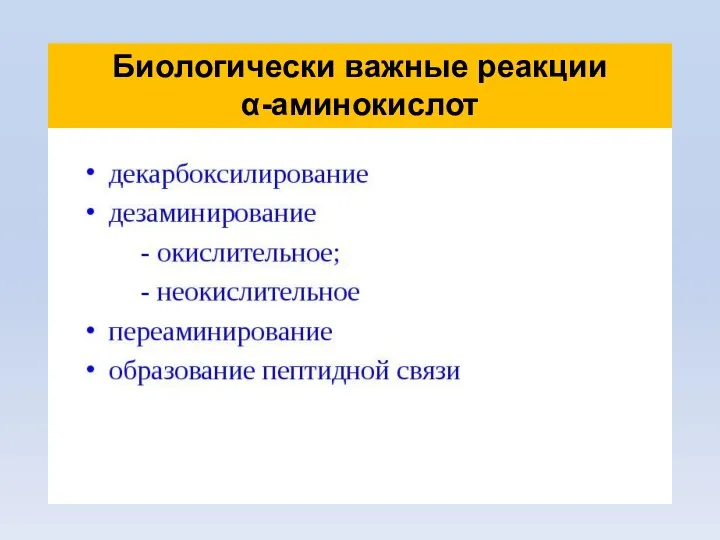 Биологически важные реакции α-аминокислот