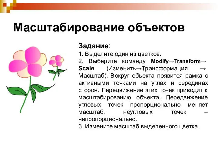 Масштабирование объектов Задание: 1. Выделите один из цветков. 2. Выберите команду Modify→Transform→ Scale