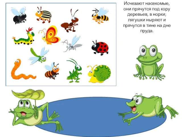 Исчезают насекомые, они прячутся под кору деревьев, в норки; лягушки
