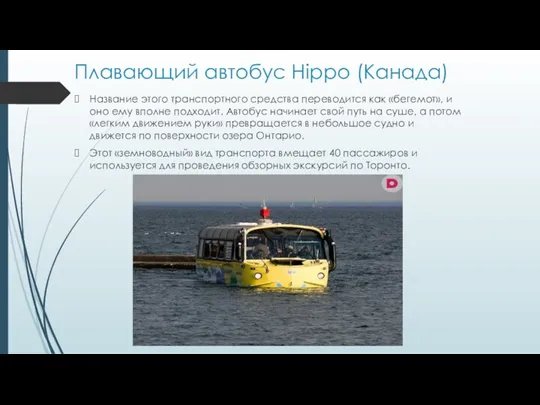 Плавающий автобус Hippo (Канада) Название этого транспортного средства переводится как «бегемот», и оно