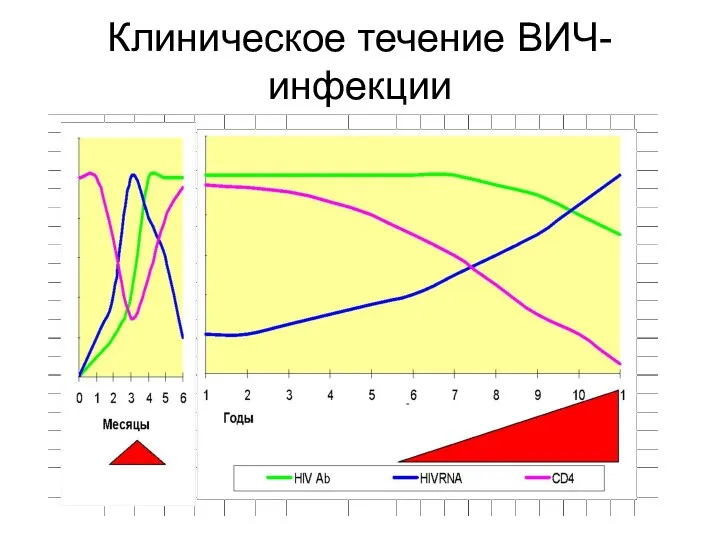 Клиническое течение ВИЧ-инфекции