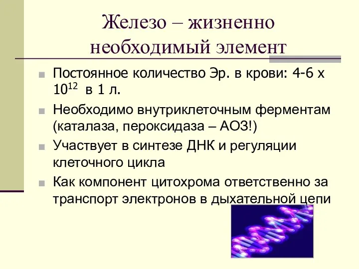 Железо – жизненно необходимый элемент Постоянное количество Эр. в крови: