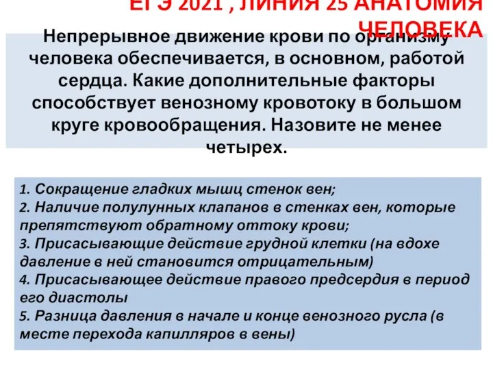 Непрерывное движение крови по организму человека обеспечивается, в основном, работой сердца. Какие дополнительные