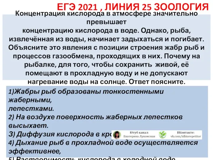 Концентрация кислорода в атмосфере значительно превышает концентрацию кислорода в воде. Однако, рыба, извлечённая