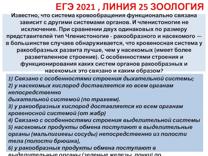 Известно, что система кровообращения функционально связана зависит с другими системами органов. И членистоногие