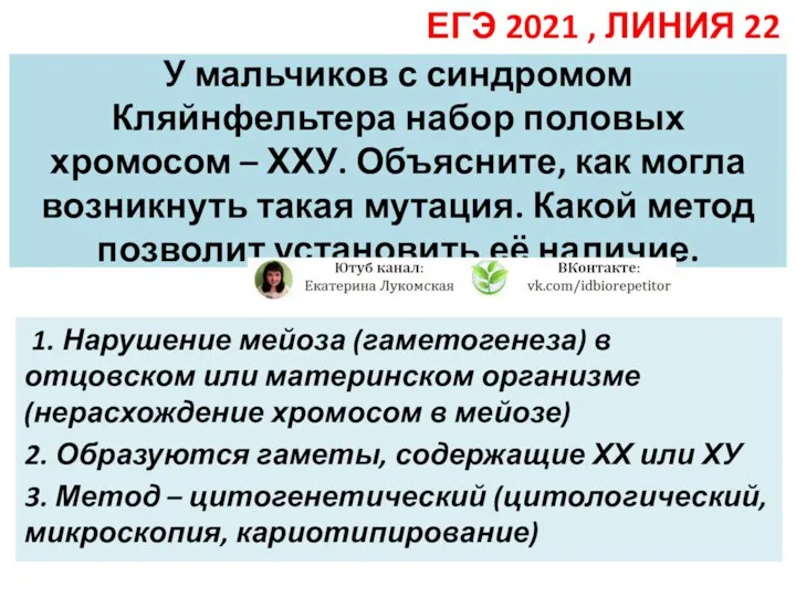 У мальчиков с синдромом Кляйнфельтера набор половых хромосом – ХХУ. Объясните, как могла