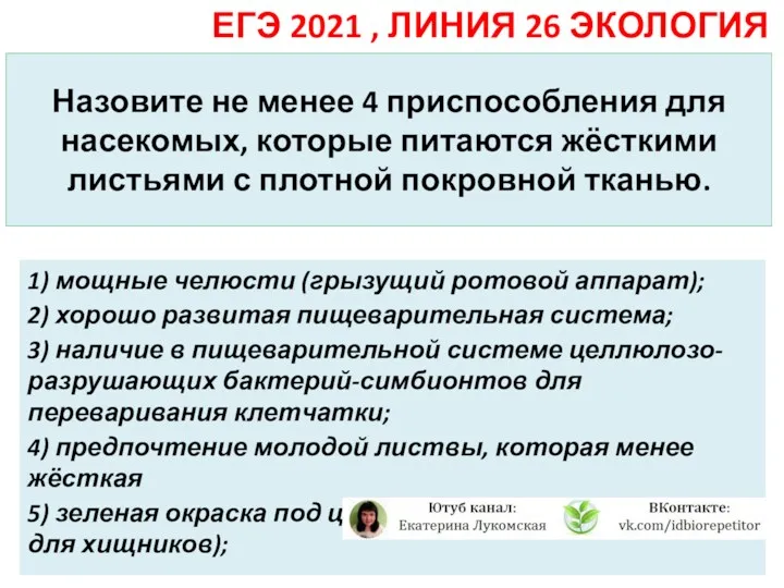 Назовите не менее 4 приспособления для насекомых, которые питаются жёсткими листьями с плотной