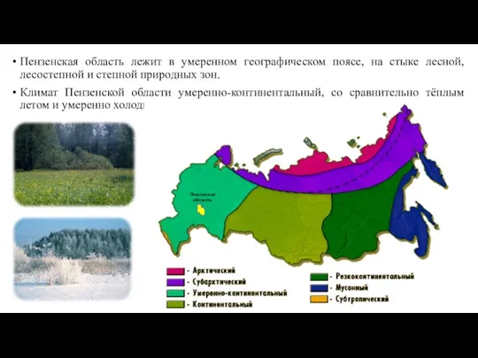 Пензенская область лежит в умеренном географическом поясе, на стыке лесной,