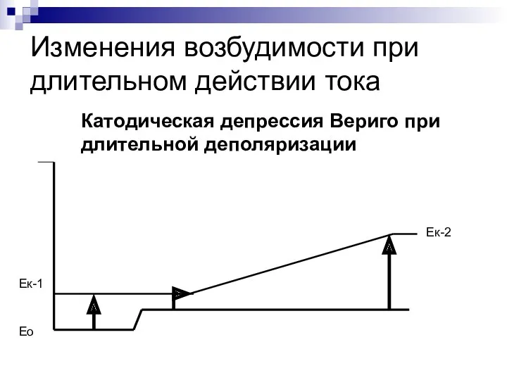 Изменения возбудимости при длительном действии тока Катодическая депрессия Вериго при длительной деполяризации