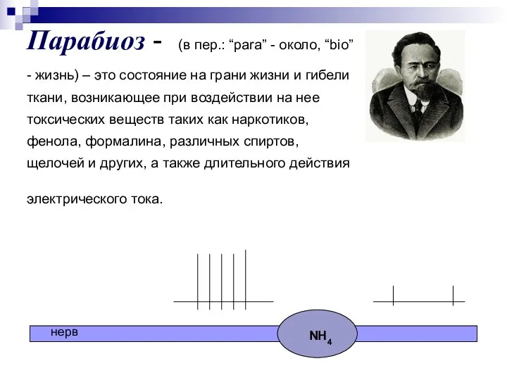 Парабиоз - (в пер.: “para” - около, “bio” - жизнь)