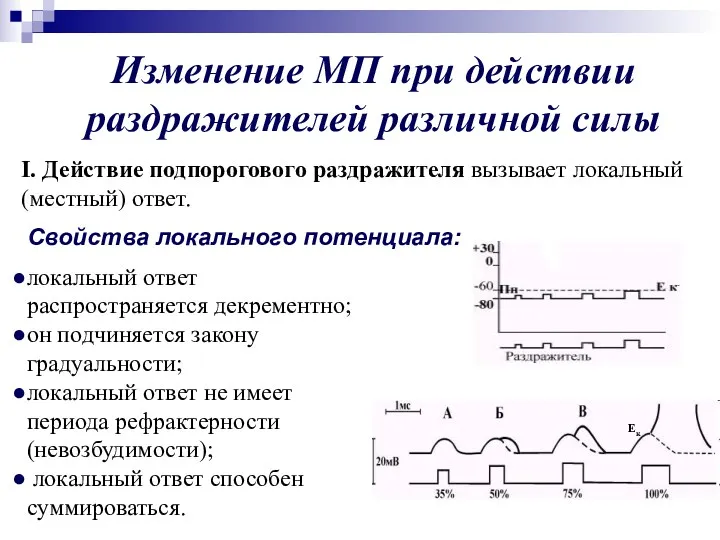 Изменение МП при действии раздражителей различной силы I. Действие подпорогового