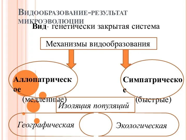 Вид- генетически закрытая система Видообразование-результат микроэволюции Аллопатрическое (медленные) Симпатрическое (быстрые) Механизмы видообразования Изоляция популяций Географическая Экологическая