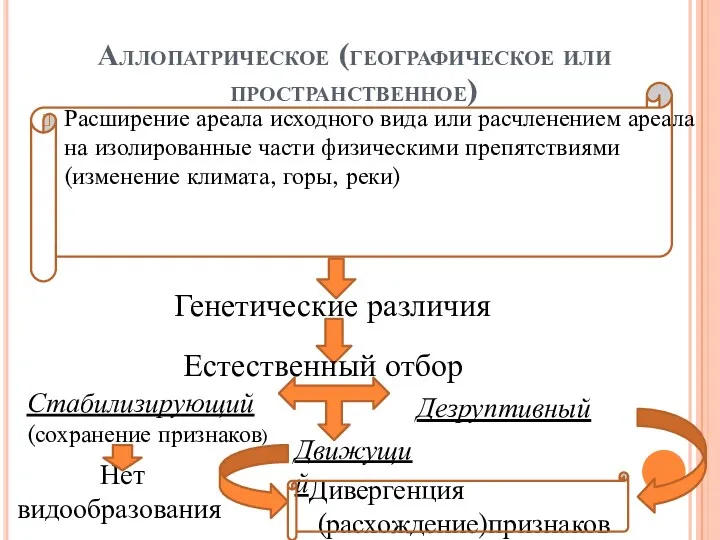 Аллопатрическое (географическое или пространственное) Расширение ареала исходного вида или расчленением