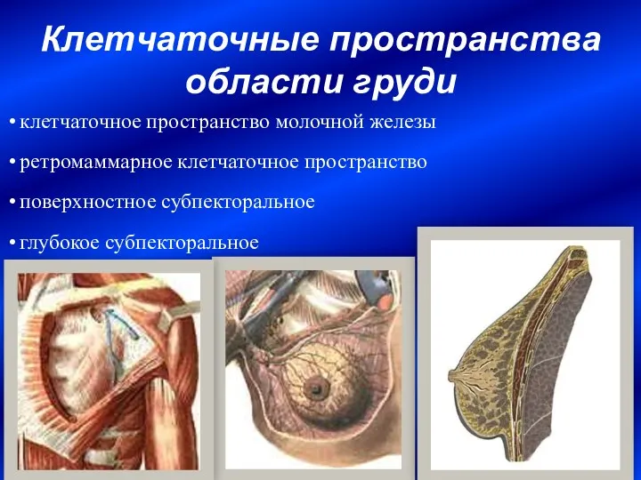 Клетчаточные пространства области груди клетчаточное пространство молочной железы ретромаммарное клетчаточное пространство поверхностное субпекторальное глубокое субпекторальное