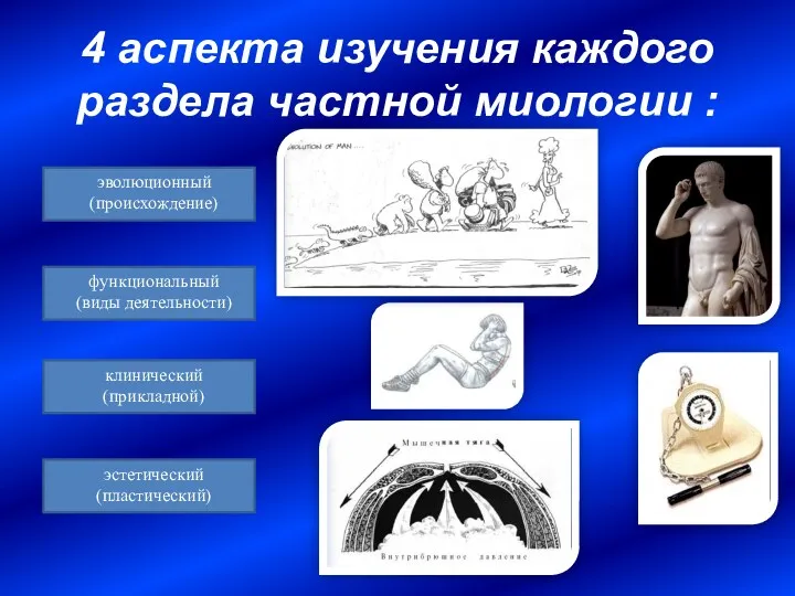 4 аспекта изучения каждого раздела частной миологии : эволюционный (происхождение)