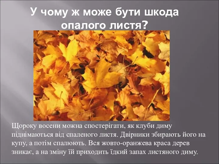 Щороку восени можна спостерігати, як клуби диму піднімаються від спаленого