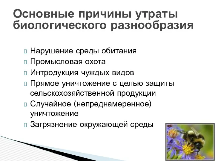 Основные причины утраты биологического разнообразия Нарушение среды обитания Промысловая охота