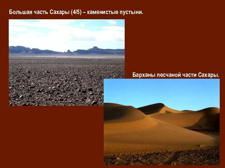 Большая часть Сахары (4/5) – каменистые пустыни. Барханы песчаной части Сахары.