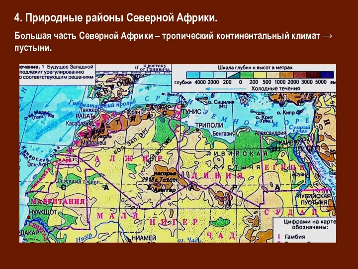 4. Природные районы Северной Африки. Большая часть Северной Африки – тропический континентальный климат → пустыни.