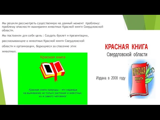 Мы решили рассмотреть существенную на данный момент проблему: проблему опасности