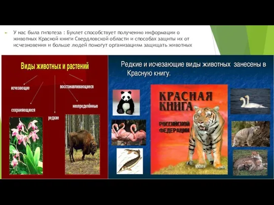 У нас была гипотеза : Буклет способствует получению информации о