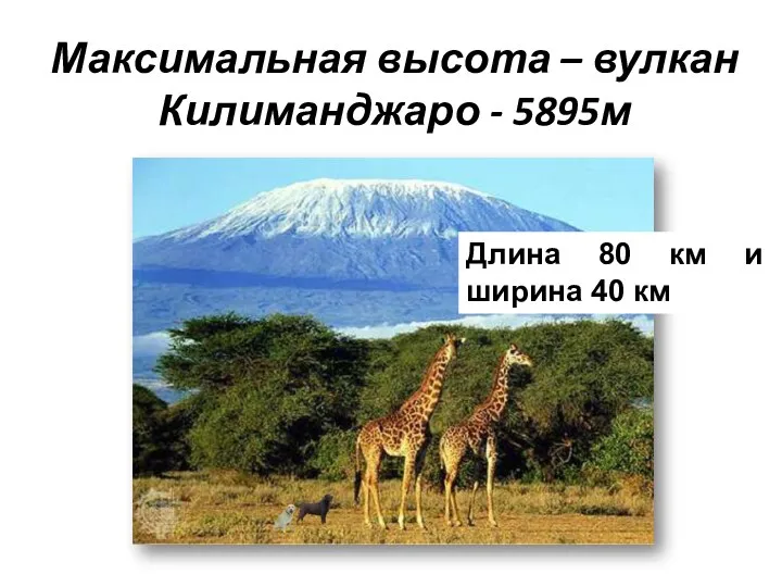 Максимальная высота – вулкан Килиманджаро - 5895м Длина 80 км и ширина 40 км