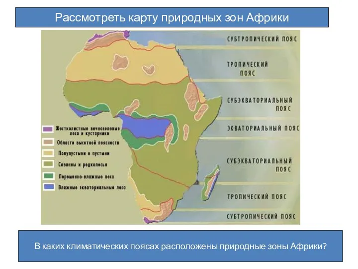 Рассмотреть карту природных зон Африки В каких климатических поясах расположены природные зоны Африки?