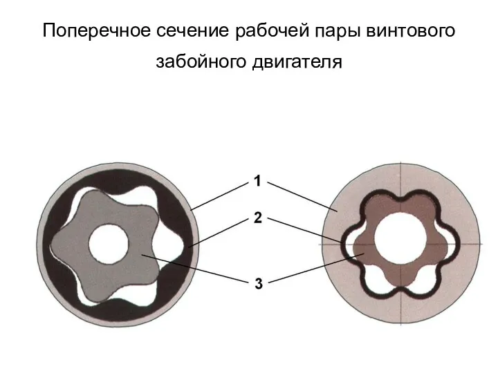 Поперечное сечение рабочей пары винтового забойного двигателя