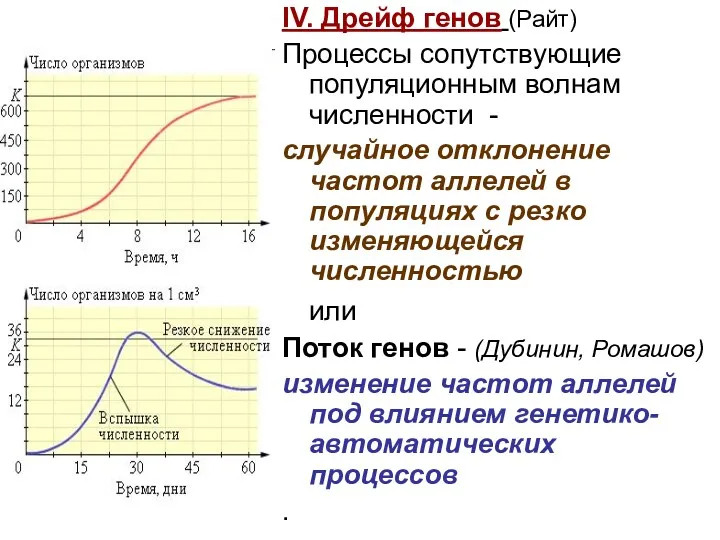 IV. Дрейф генов (Райт) Процессы сопутствующие популяционным волнам численности -