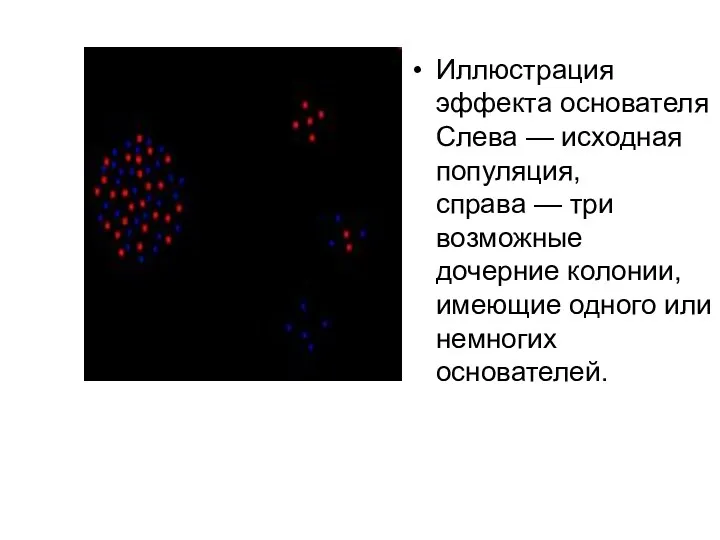 Иллюстрация эффекта основателя Слева — исходная популяция, справа — три