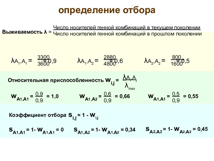 определение отбора Относительная приспособленность wi,j = λАi,Аj λmax Коэффициент отбора