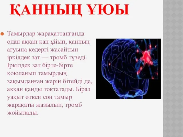 ҚАННЫҢ ҰЮЫ Тамырлар жарақаттанғанда одан аққан қан ұйып, қанның ағуына