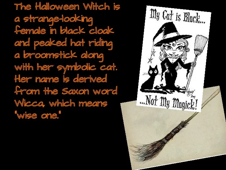 The Halloween Witch is a strange-looking female in black cloak