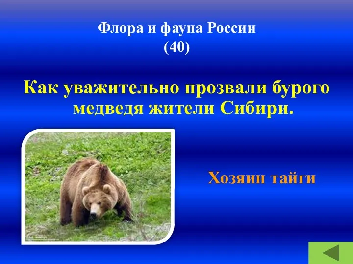 Флора и фауна России (40) Как уважительно прозвали бурого медведя жители Сибири. Хозяин тайги