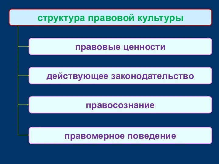 структура правовой культуры правовые ценности действующее законодательство правосознание правомерное поведение