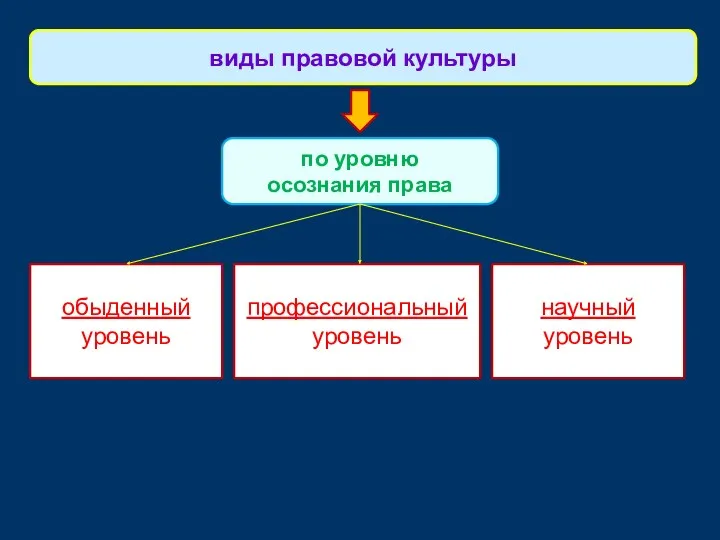 обыденный уровень виды правовой культуры по уровню осознания права научный уровень профессиональный уровень