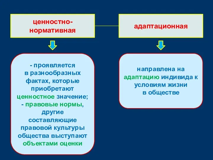 ценностно-нормативная адаптационная - проявляется в разнообразных фактах, которые приобретают ценностное