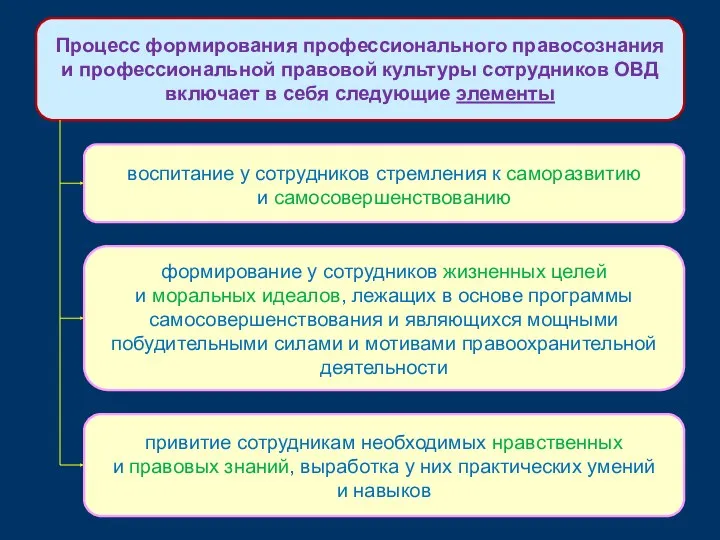 Процесс формирования профессионального правосознания и профессиональной правовой культуры сотрудников ОВД включает в себя