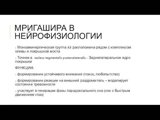 МРИГАШИРА В НЕЙРОФИЗИОЛОГИИ - Моноаминергическая группа A5 расположена рядом с