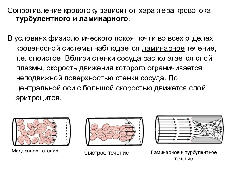 Сопротивление кровотоку зависит от характера кровотока - турбулентного и ламинарного. В условиях физиологического