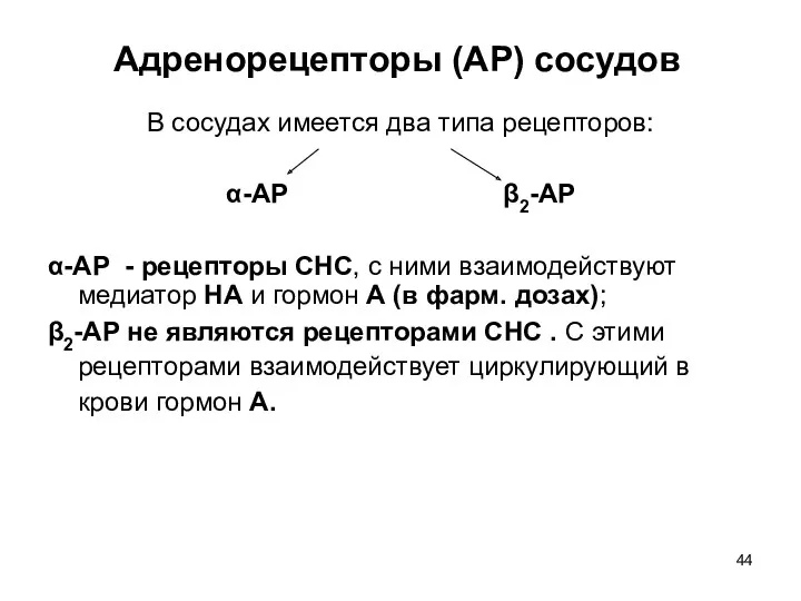 Адренорецепторы (АР) сосудов В сосудах имеется два типа рецепторов: α-АР β2-АР α-АР -