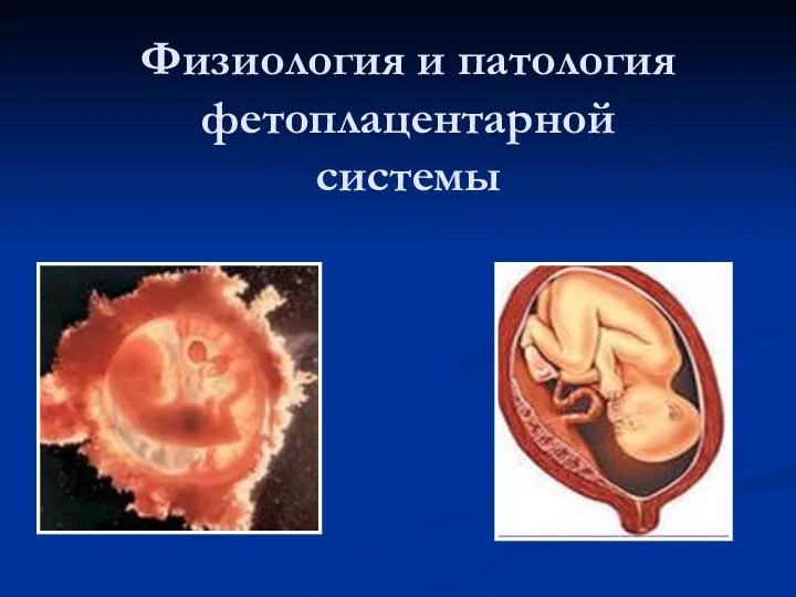 Физиология и патология фетоплацентарной системы