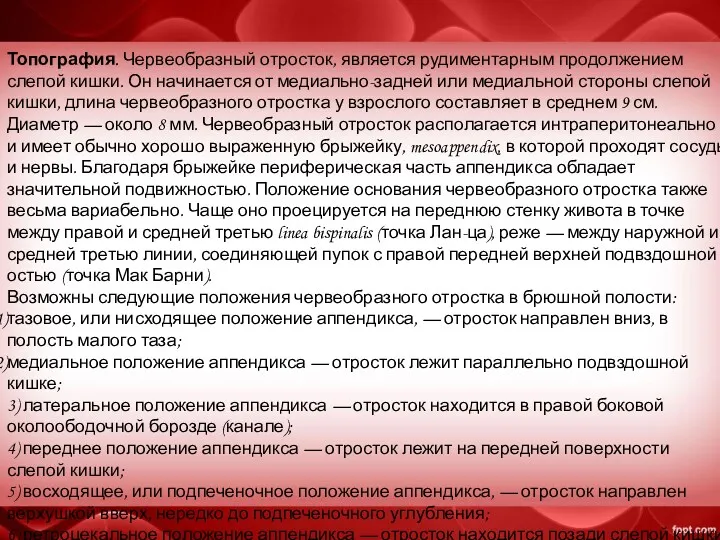 Топография. Червеобразный отросток, является рудиментарным продолжением слепой кишки. Он начинается