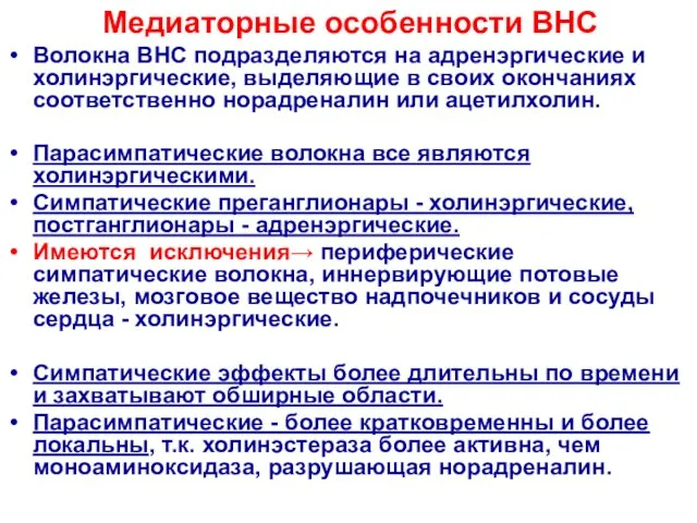 Медиаторные особенности ВНС Волокна ВНС подразделяются на адренэргические и холинэргические,