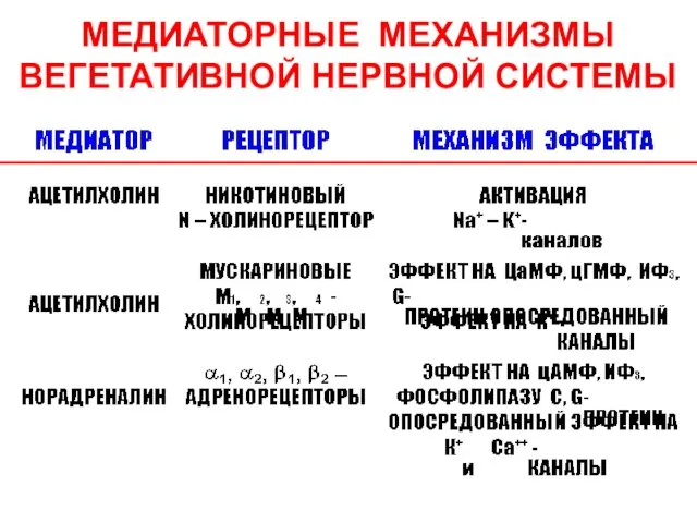 МЕДИАТОРНЫЕ МЕХАНИЗМЫ ВЕГЕТАТИВНОЙ НЕРВНОЙ СИСТЕМЫ