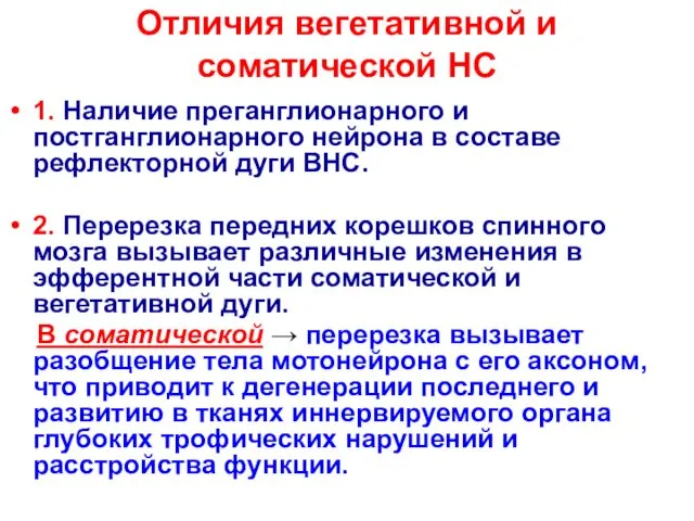 Отличия вегетативной и соматической НС 1. Наличие преганглионарного и постганглионарного