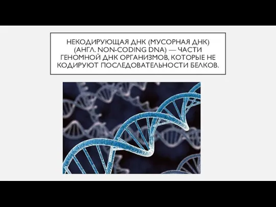 НЕКОДИРУЮЩАЯ ДНК (МУСОРНАЯ ДНК) (АНГЛ. NON-CODING DNA) — ЧАСТИ ГЕНОМНОЙ