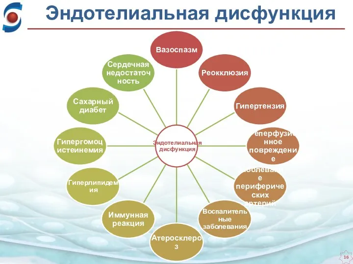 Эндотелиальная дисфункция Вазоспазм Реокклюзия Гипертензия Реперфузионное повреждение Заболевание периферических артерий